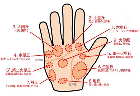 手 相|占い師がわかりやすく手相の見方を解説！ あなたの運勢や性格。